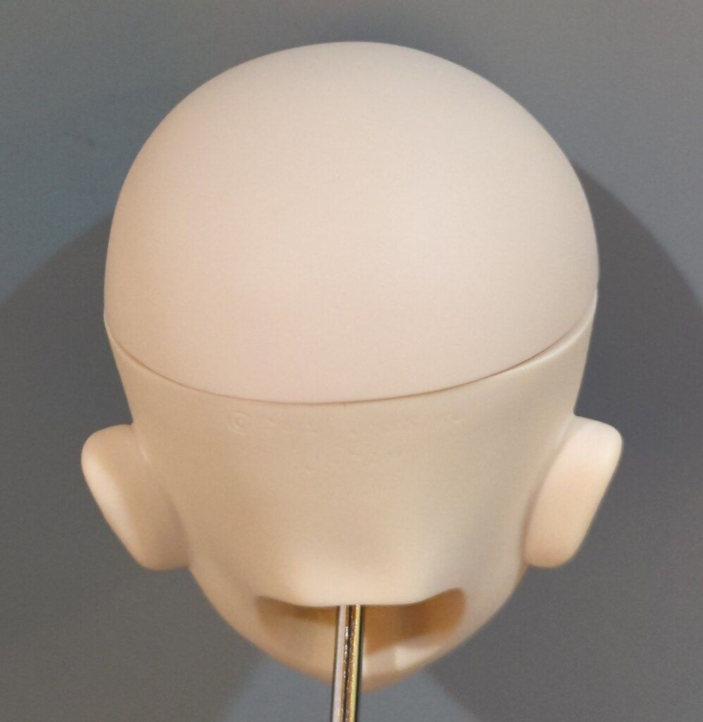 しふとぷらす DDカスタムヘッド