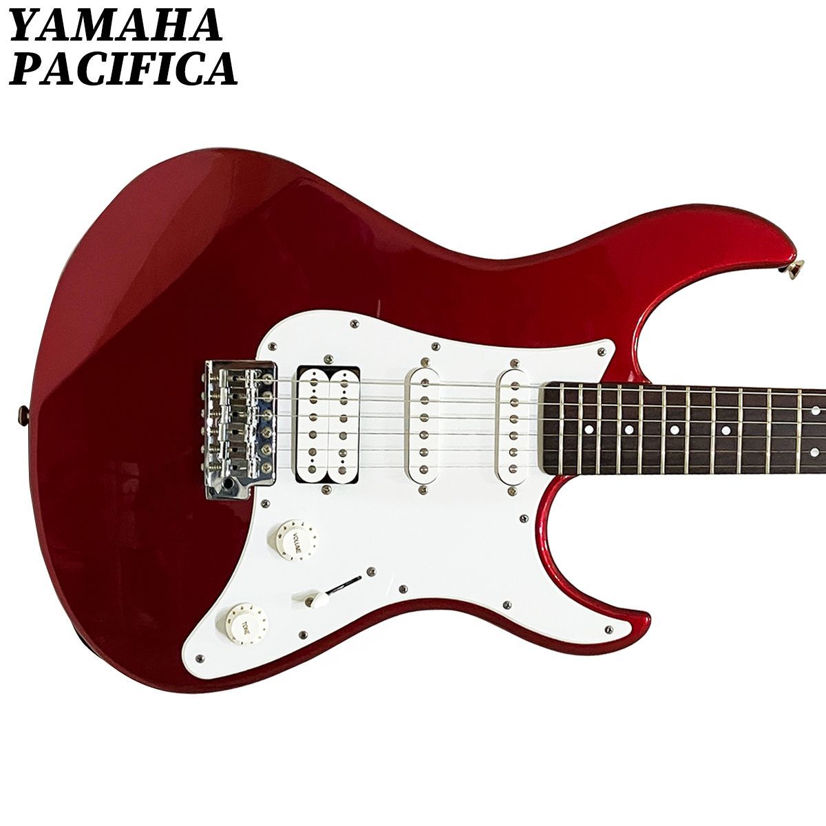 hide Model MG-3800 1／6スケール FERNANDES hide MG-3800 1/6スケール