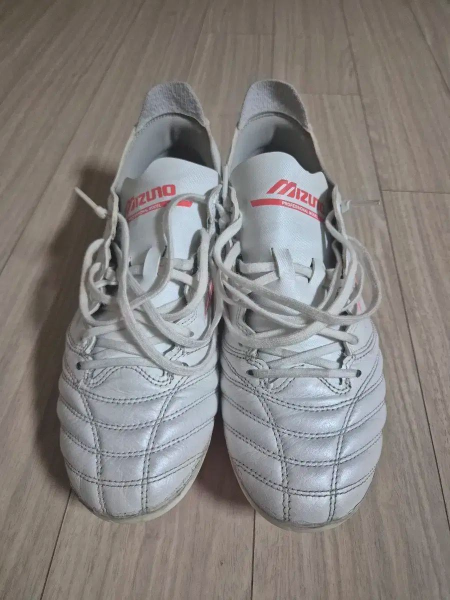 ミズノ モレリア NEO エリート ag 255mm