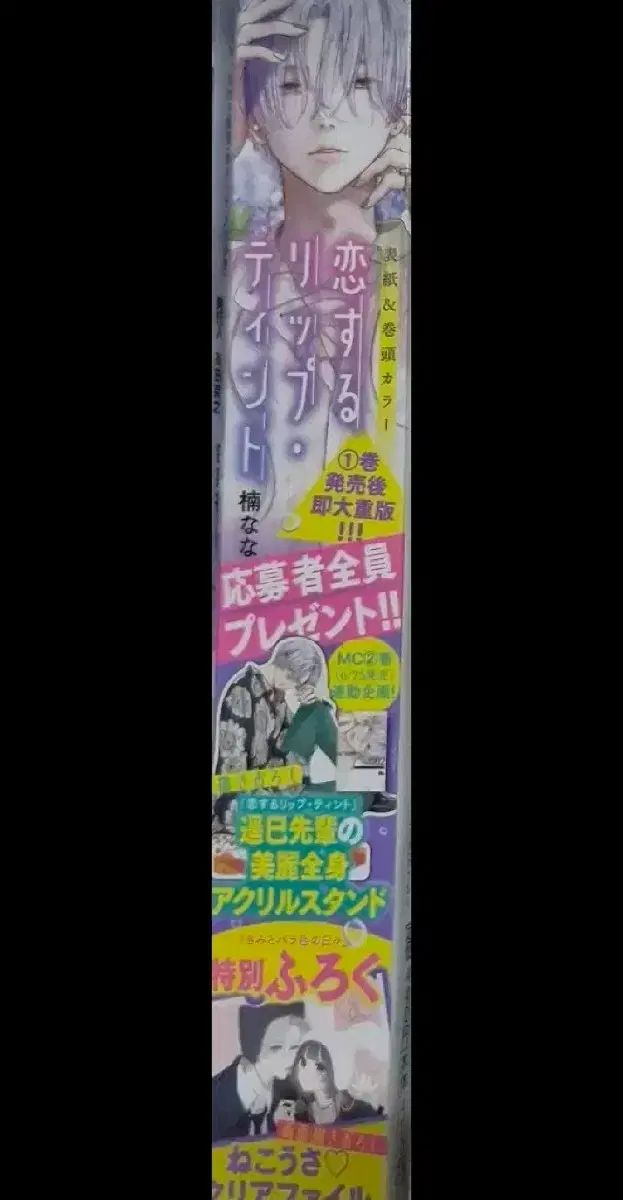 愛するリップティント雑誌 君とバラ色の毎日 別冊マーガレット マーガレット