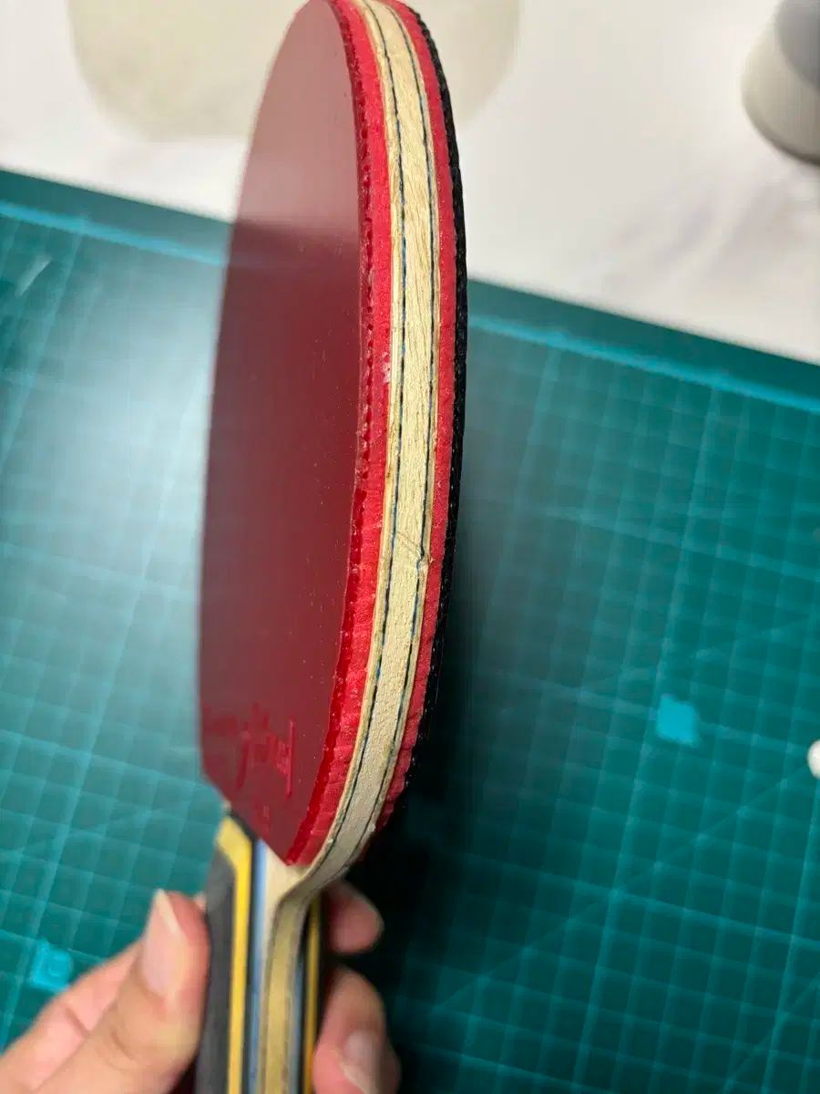 84 ディグニクス09