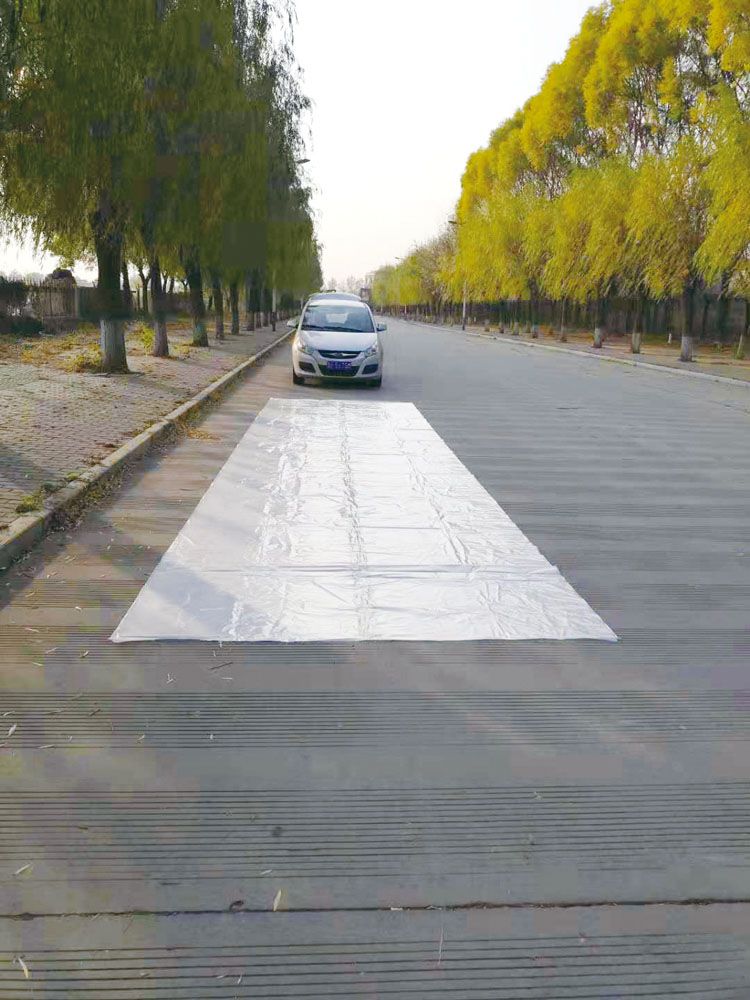 ハタ HATAS 洪水対策超大型ギガバッグ LGB 145 -