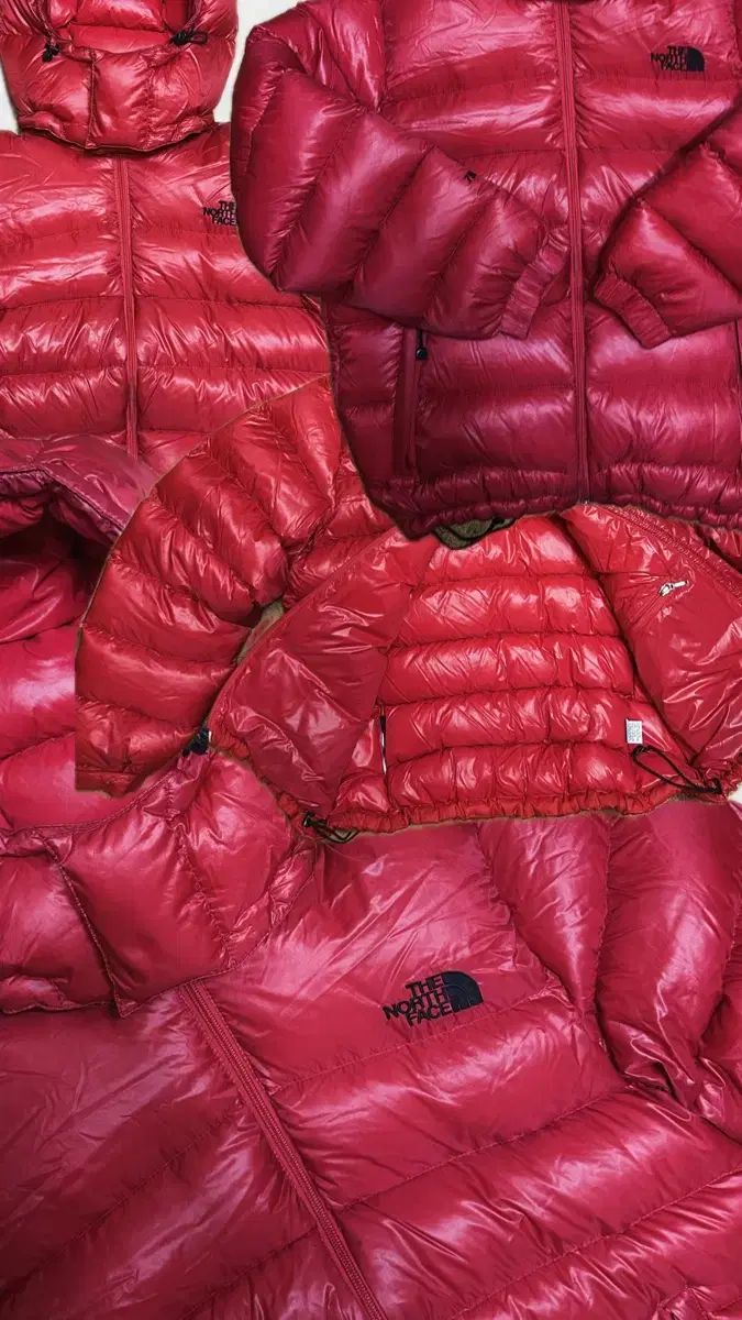 TNF ザノースフェイス 700 ゴープコア ダウン