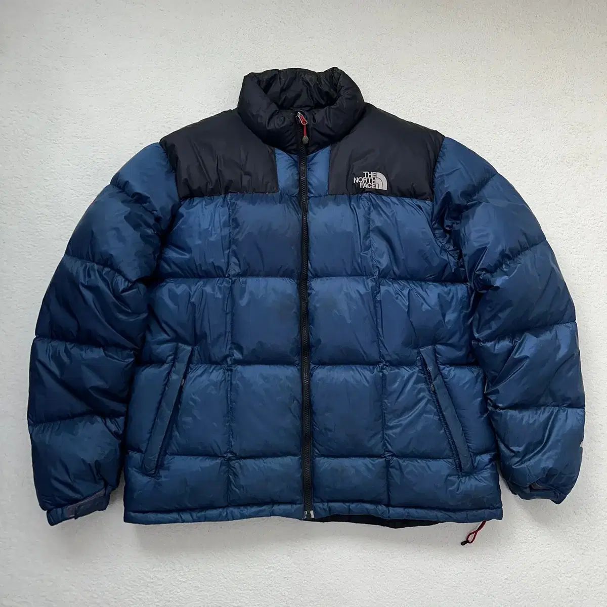 110 THE NORTH FACE ザノースフェイス 800 メンズ ローツェ ファー グースダウン ダウン N4415