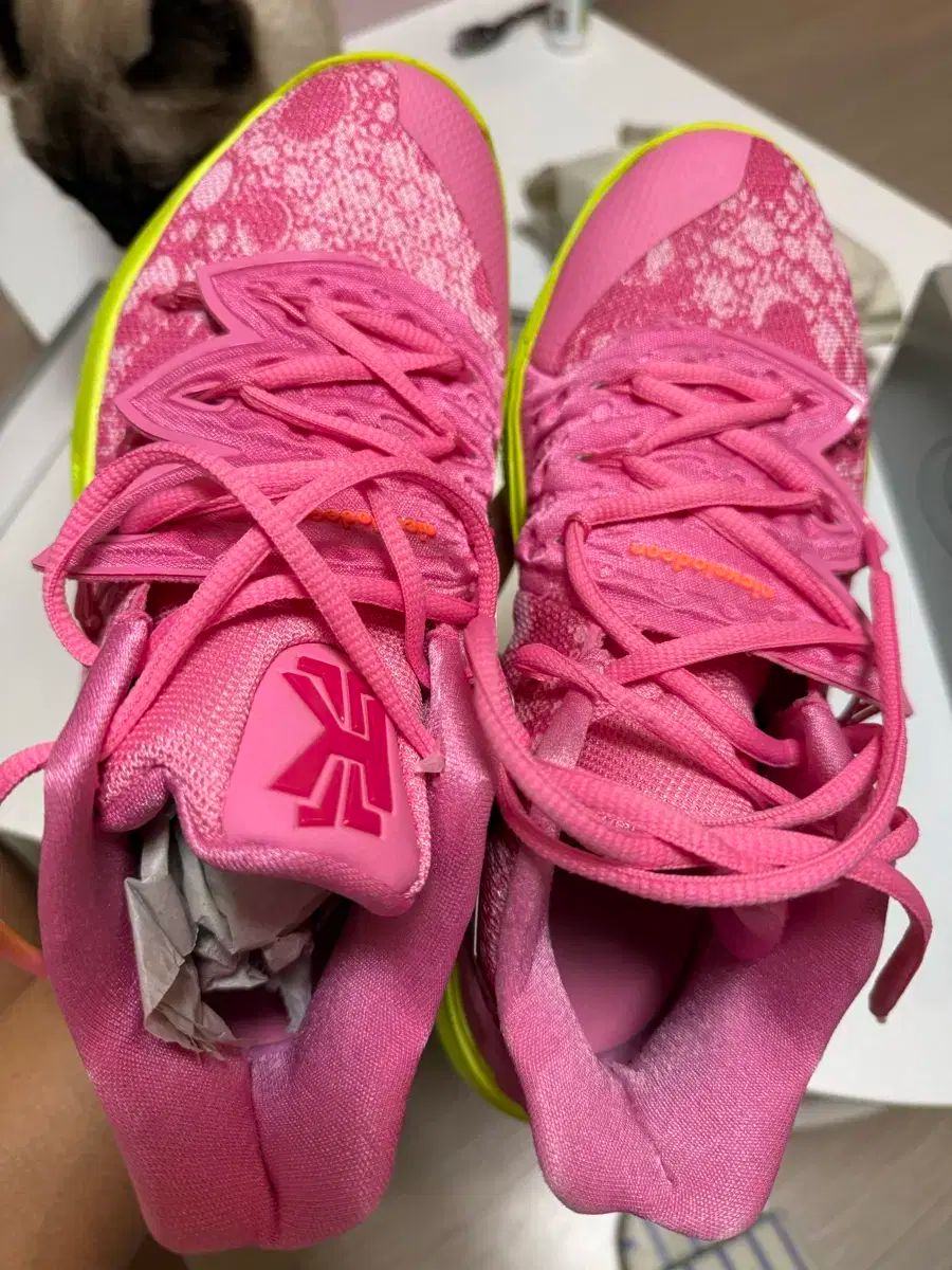 ナイキ カイリー 5 X パトリック ピンク