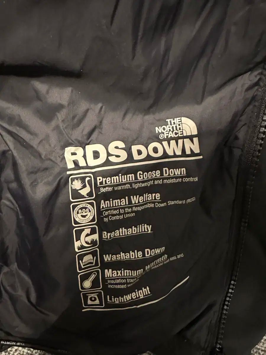 ドライベント ダウン