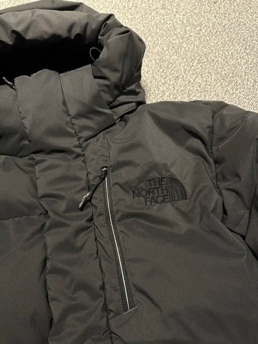 ザノースフェイス ドライベント ダウン 100