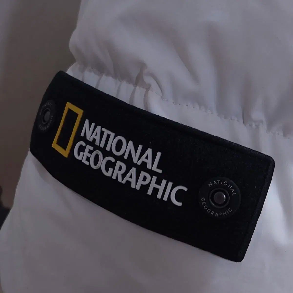 パファー ダウン