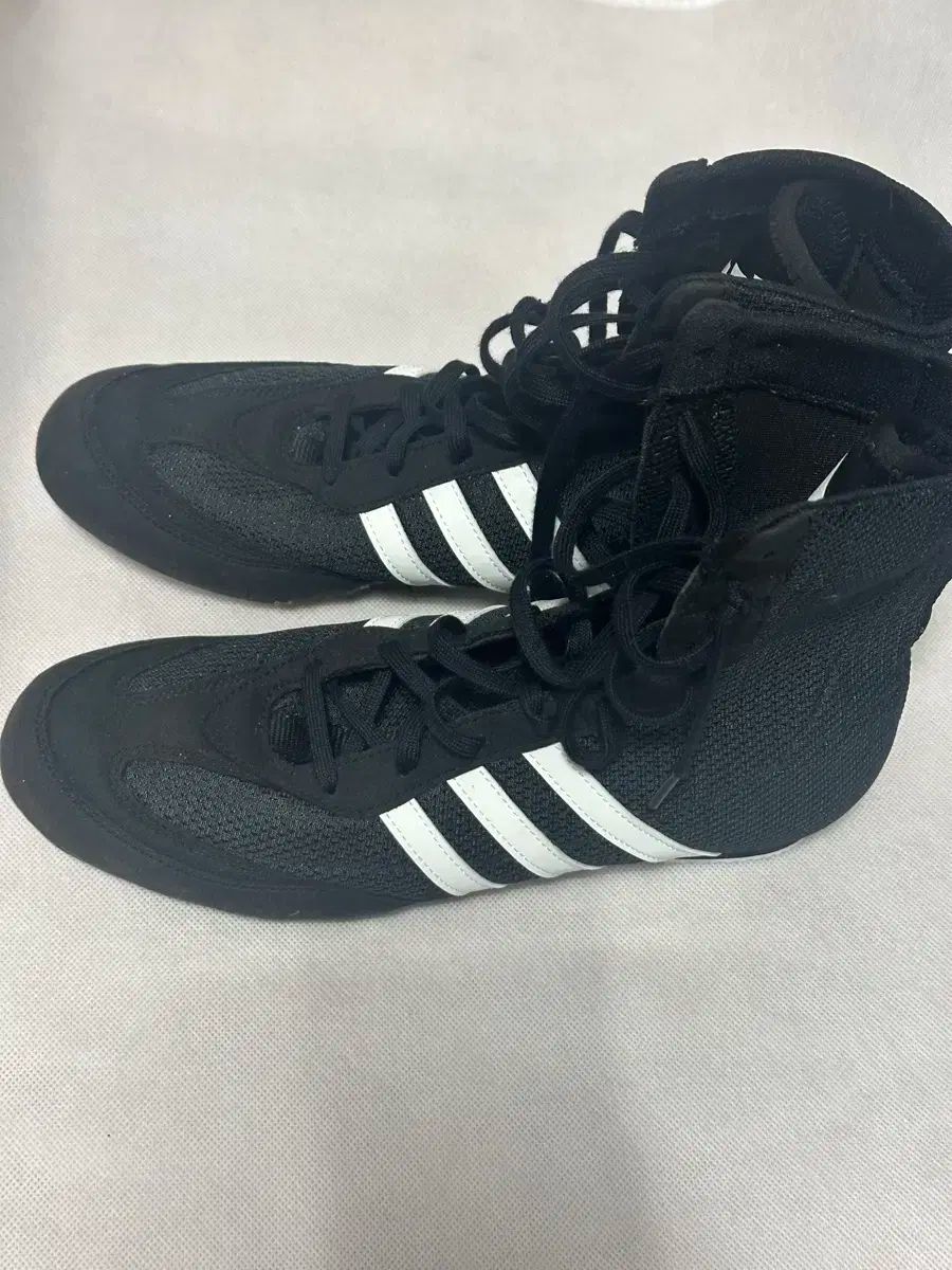 アディダス ボクサーホグ ボクシング シューズ 1週間 着用 255