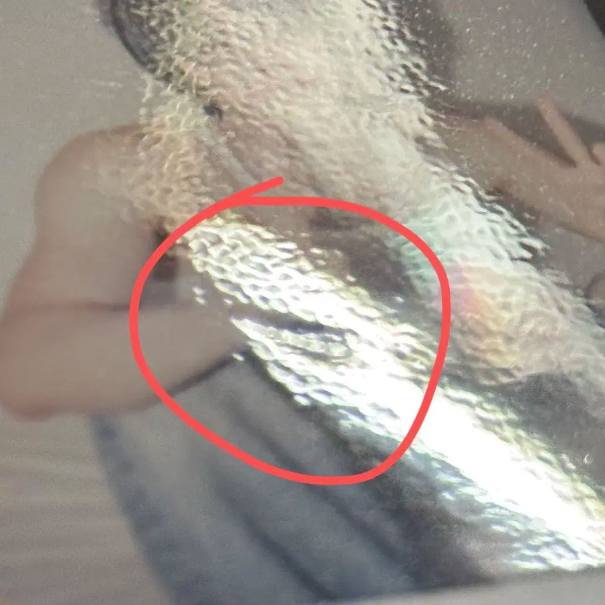 ヨンジュン YEONJUN チェヨンジュン リース パーティー 団体 集合 チェキ ポラロイド