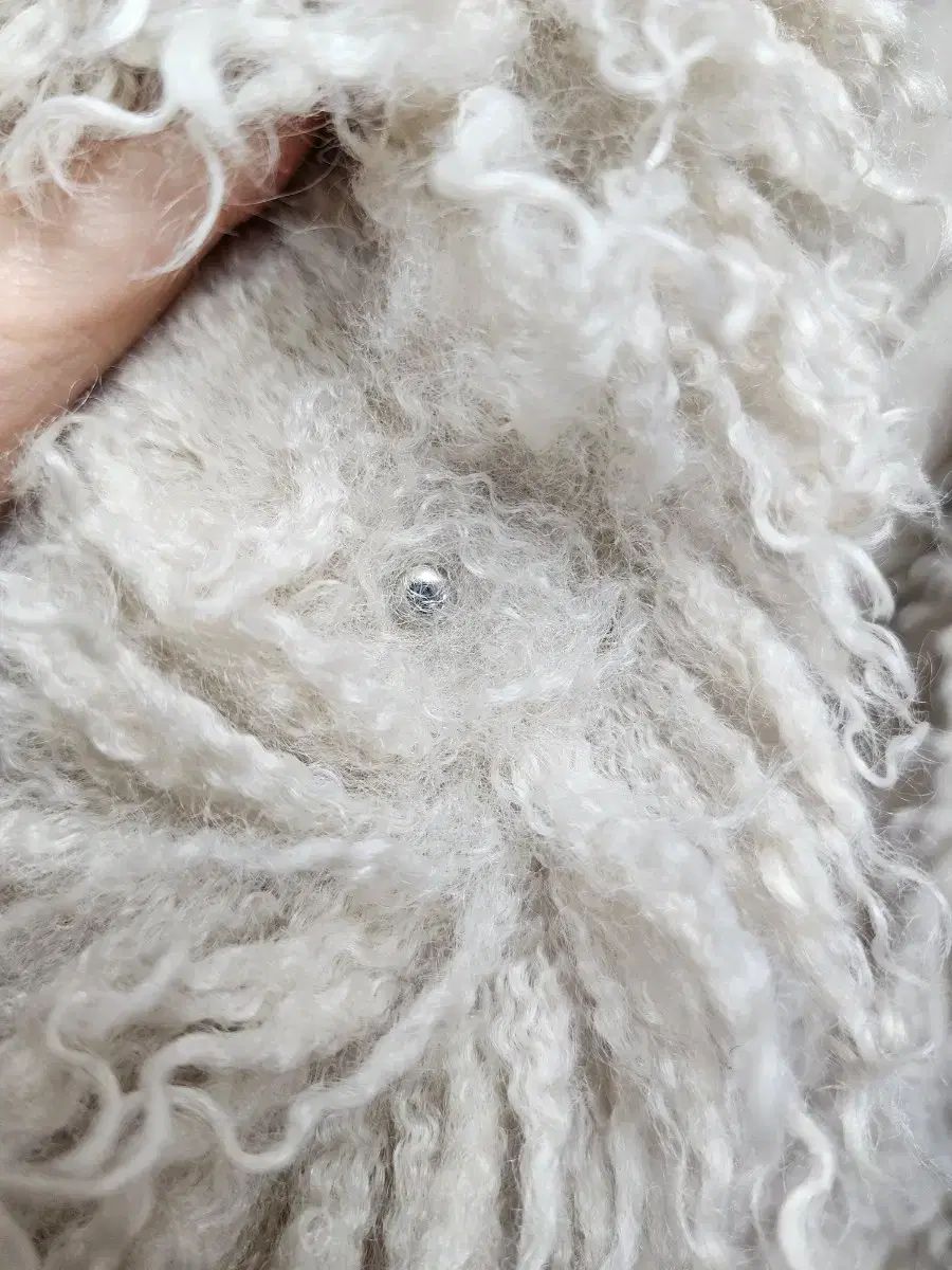 オディナリー ホリデー