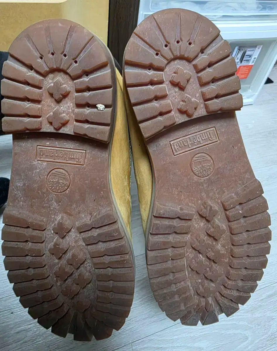 レディースブーツ