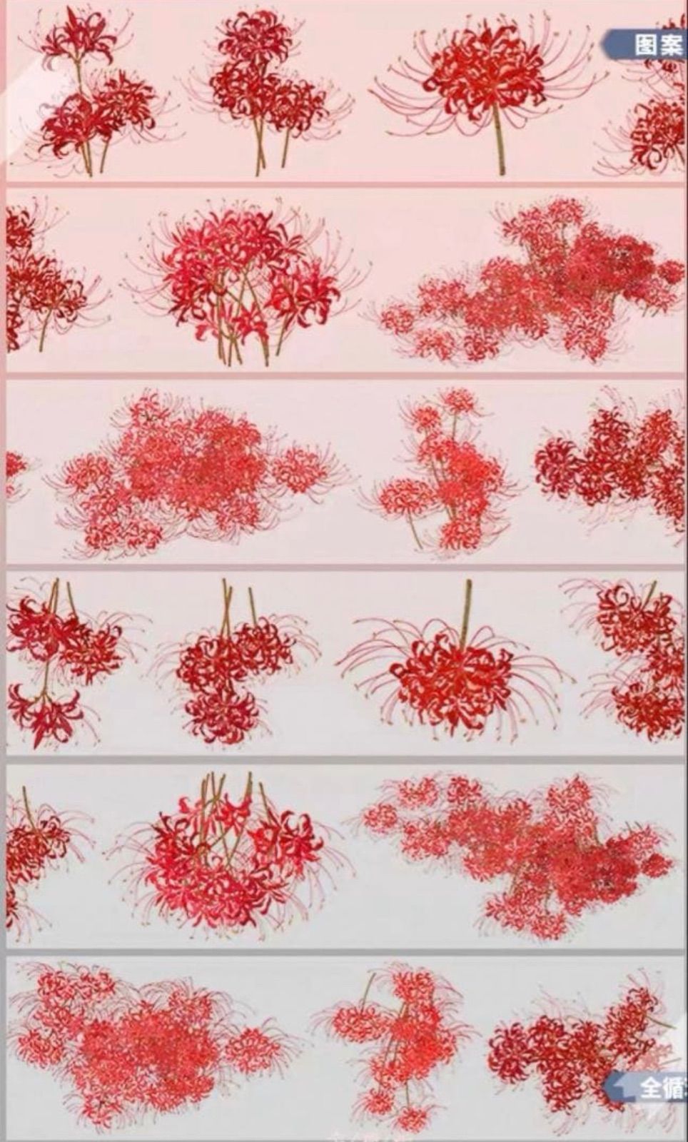 PET 彼岸相思 4.4cm×5m 100cm/loop 海外マスキングテープ 海外マステ