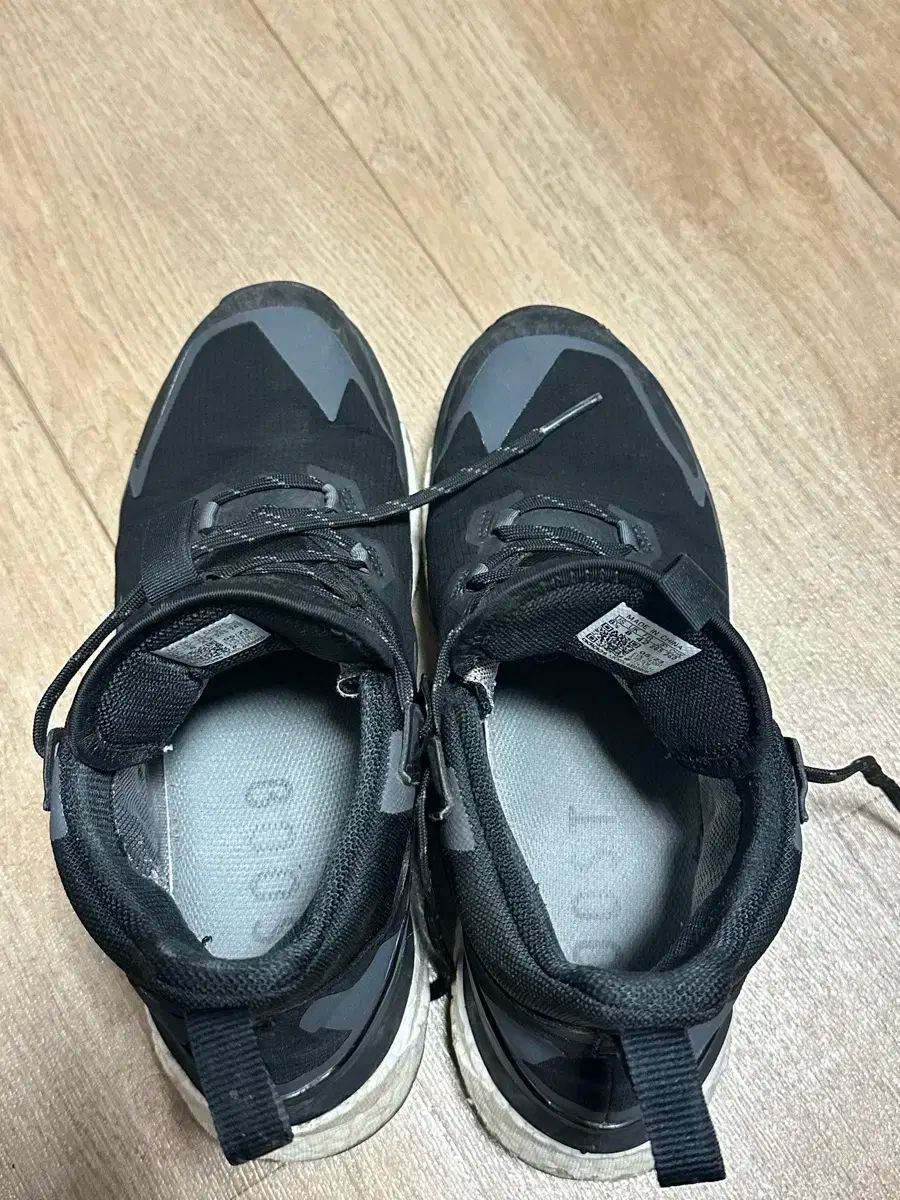 グレー シックス