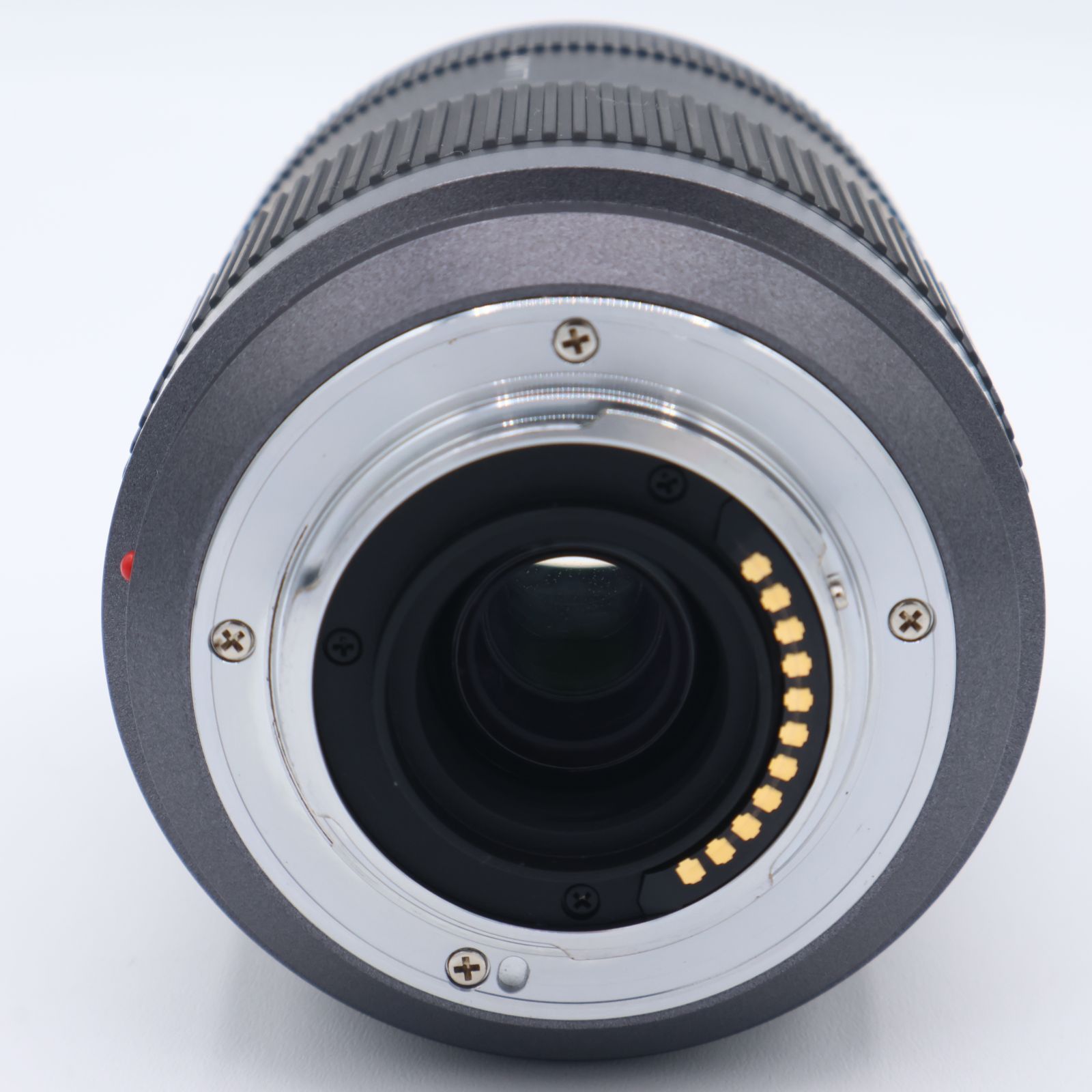 Panasonic パナソニック マイクロフォーサーズ用 ルミックス G VARIO