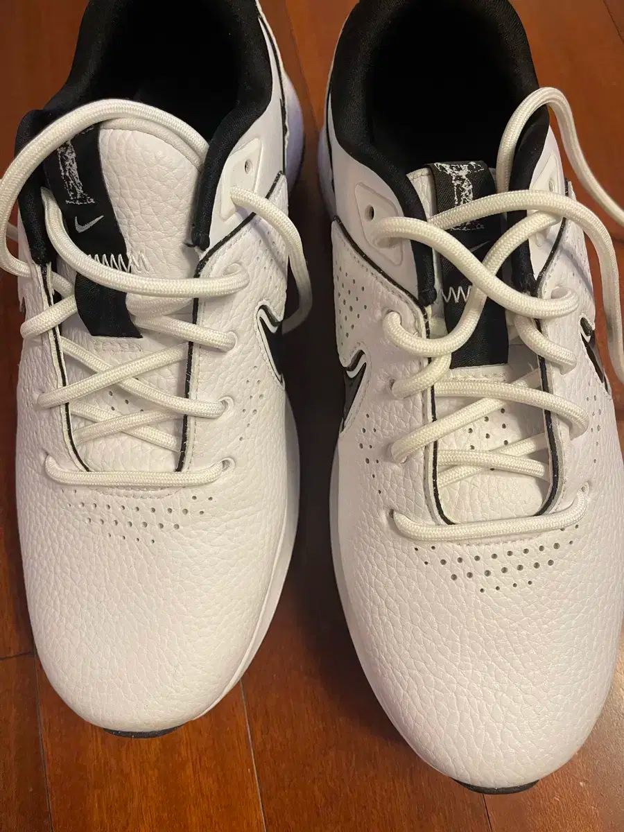 ナイキ レディースゴルフシューズ LLC-HASEGAWATOSO_COM