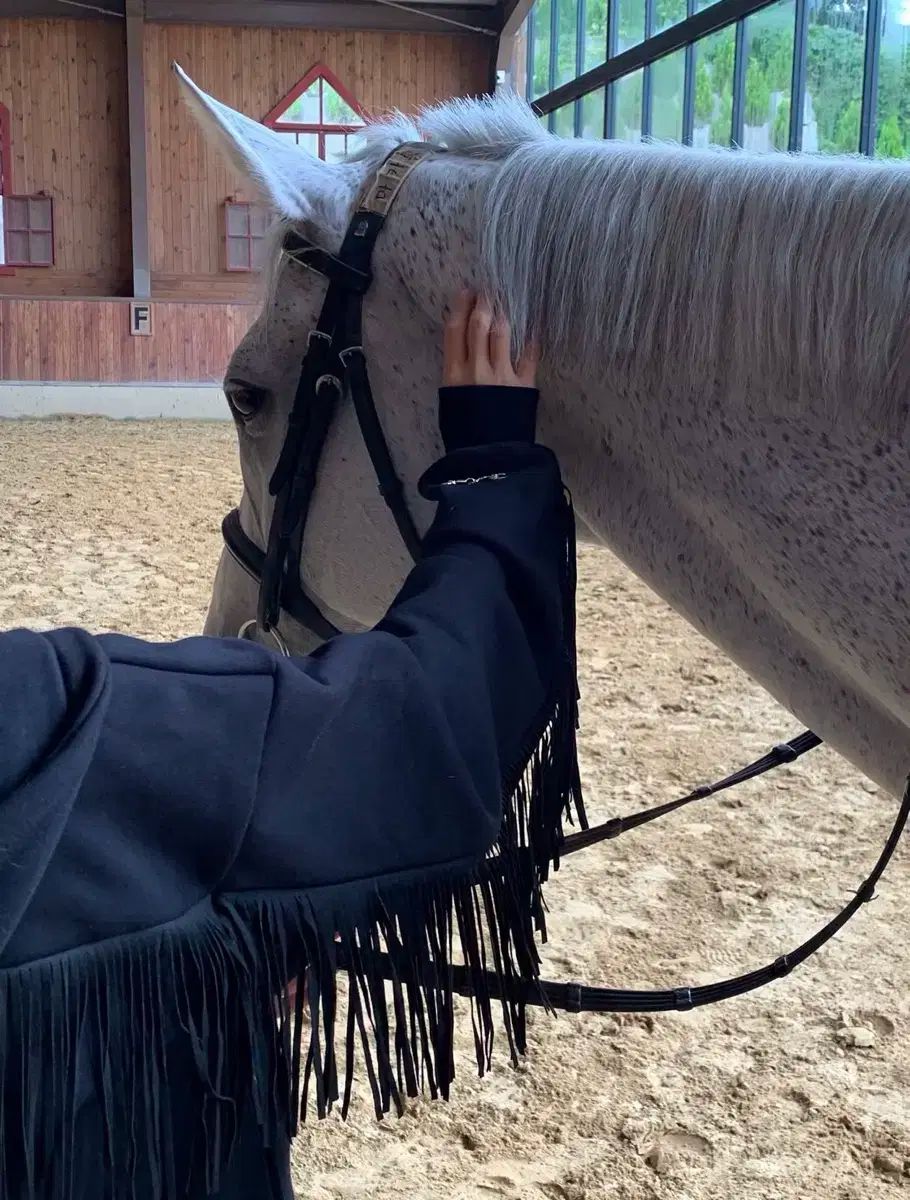  1133 ワイルドフリンジ フーディ ジップアップ ブラック パーカー トップス