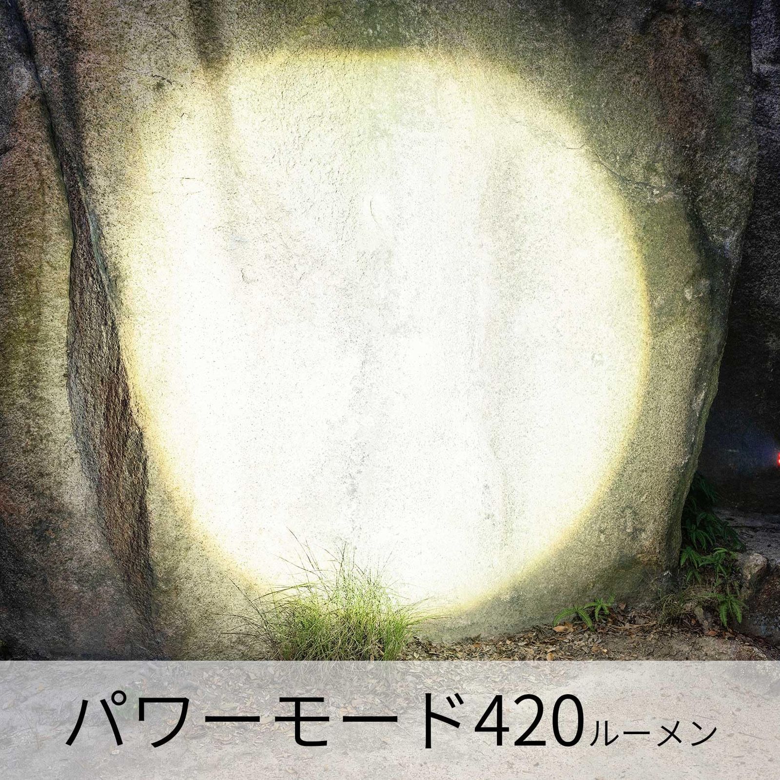 信頼のドイツブランド