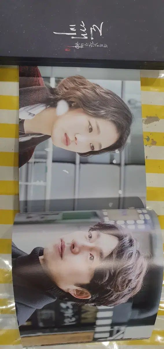 バガブー ディレクターズ