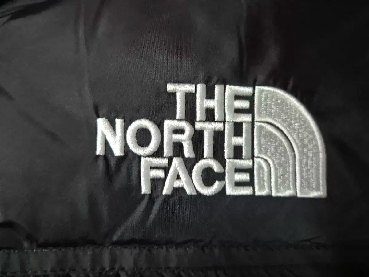 S THE NORTH FACE ザノースフェイス Nuptse ヌプシ 1996 海外モデル