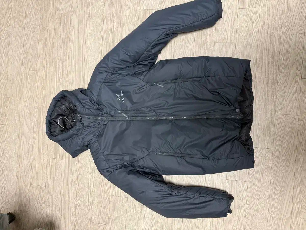 24 fw アークテリクス ヌクリアイ sv グラファイト