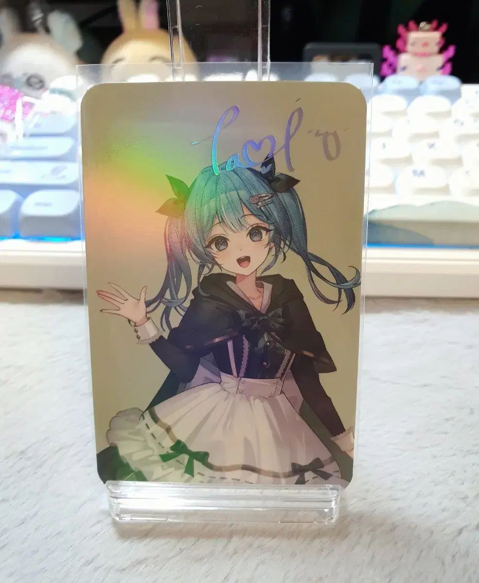 StelLive ククダス トレカ 足袋