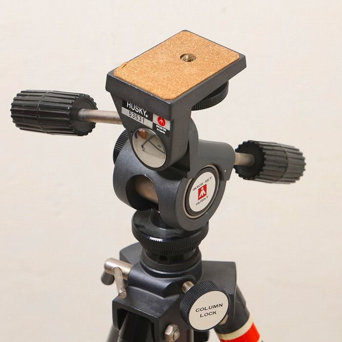 太ネジ ヘッド付キ