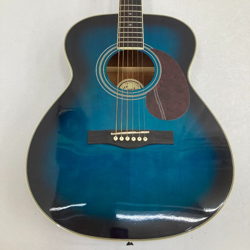 さ*ら様 【美品】Lumber アコースティックギター 青　品番 LF3BLS 2025年最新】lumber lf3blsの人気アイテム - メルカリ