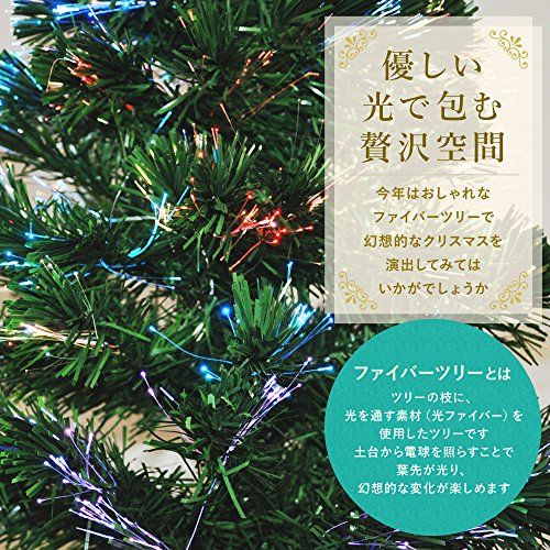 省エネ 収納ラクラク