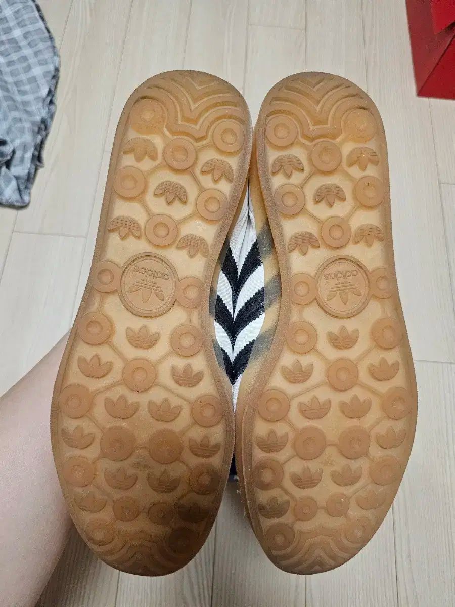 ガゼル インドア