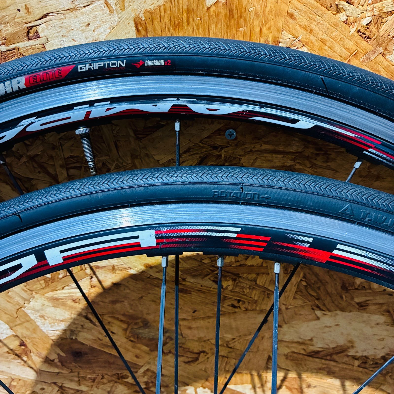 カンパニョーロ ゾンダ