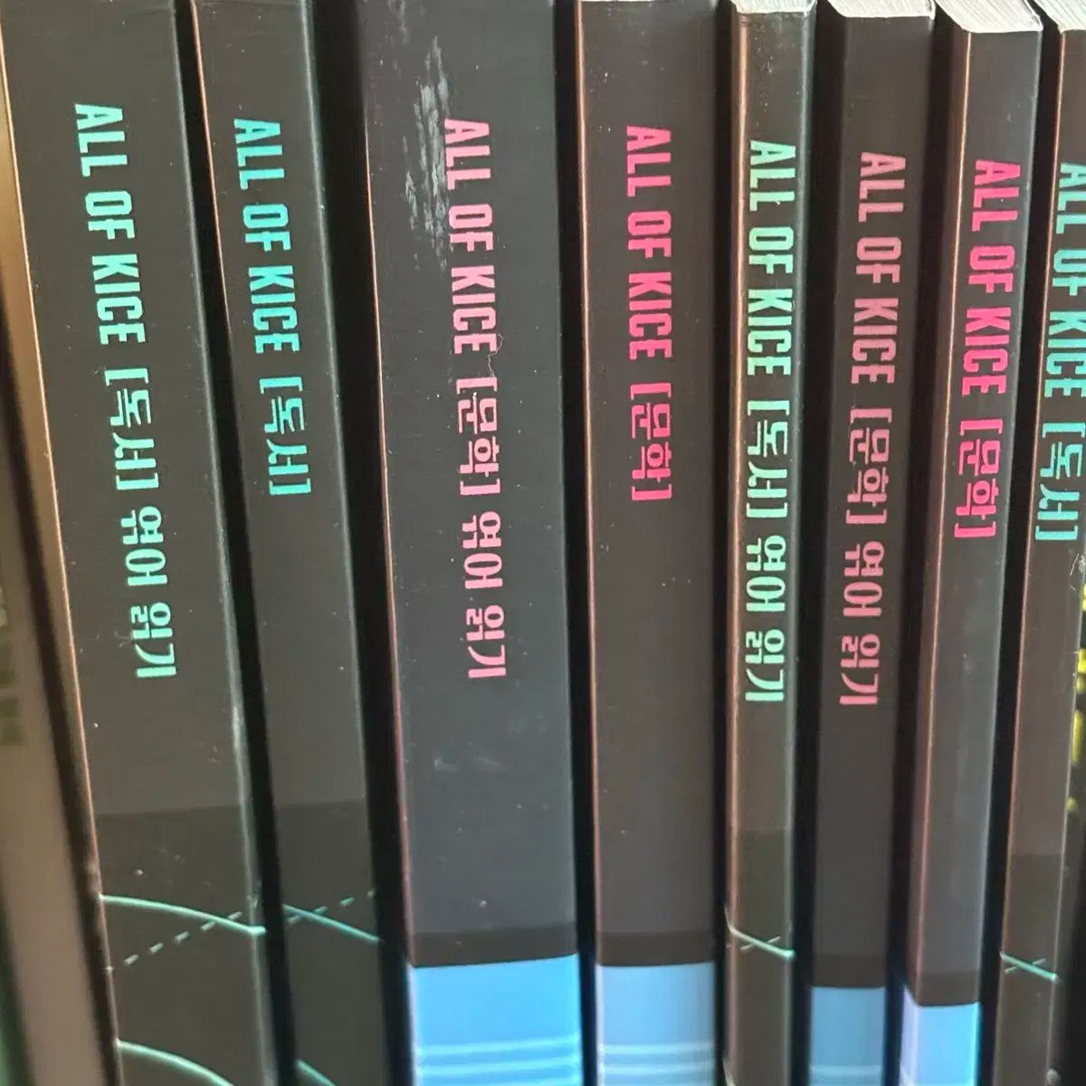 キム スンリ オール オブ カイス 文学 読書 まとめ