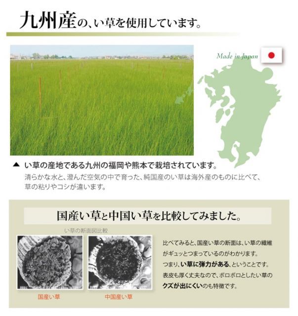 純国産 い草 上敷き カーペット 『ほほえみ』 畳上敷き リバーシブル 三六間8畳(約364×364cm) い草上敷き 九州産い草 ござマット ゴザマット 日本製 双目織 裏面も使える 折りたたみ コンパク