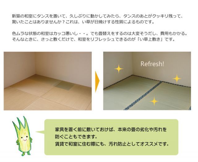 純国産 い草 上敷き カーペット 『ほほえみ』 畳上敷き リバーシブル 三六間8畳(約364×364cm) い草上敷き 九州産い草 ござマット ゴザマット 日本製 双目織 裏面も使える 折りたたみ コンパク