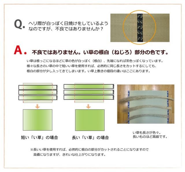 純国産 い草 上敷き カーペット 『ほほえみ』 畳上敷き リバーシブル 三六間8畳(約364×364cm) い草上敷き 九州産い草 ござマット ゴザマット 日本製 双目織 裏面も使える 折りたたみ コンパク