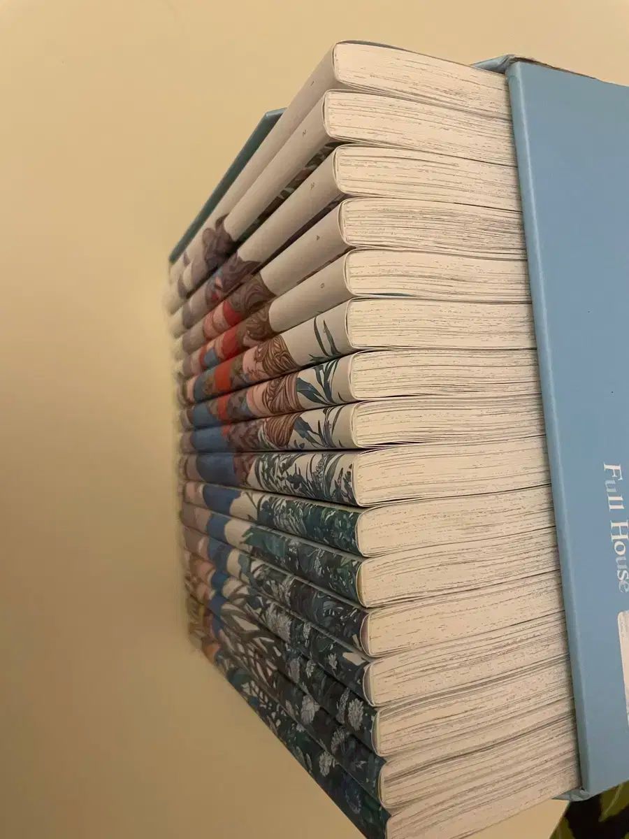 フールハウス 一般版 ボックスセット