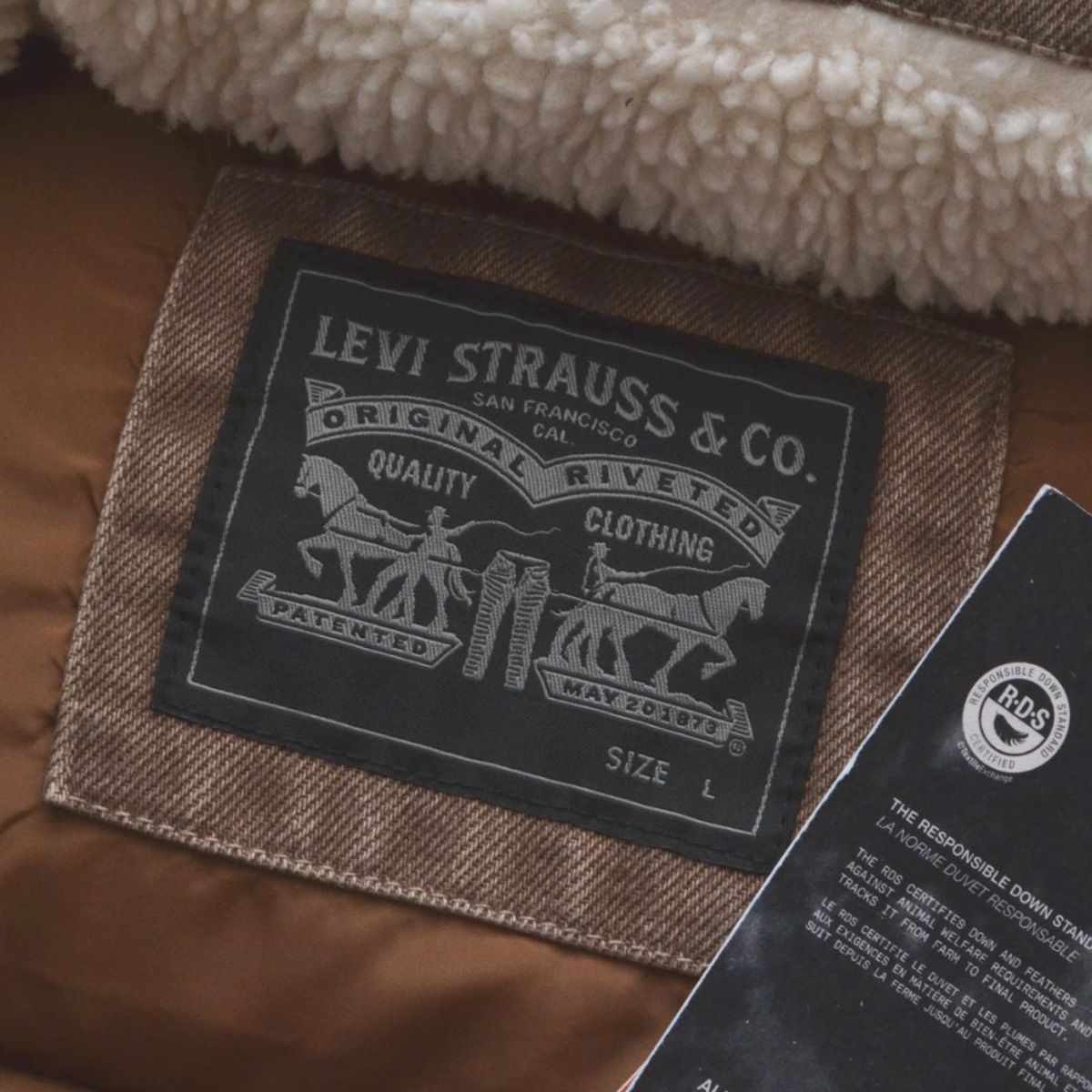 未使用 LEVI