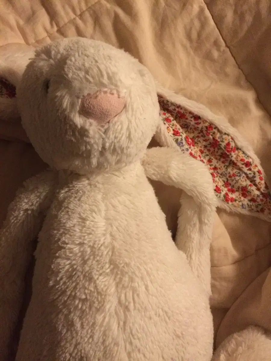 JELLYCAT ジェリーキャット ブラッサム クリーム バニー L