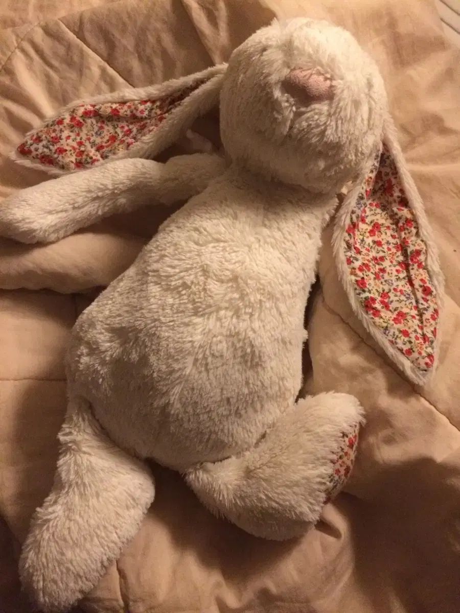 JELLYCAT ジェリーキャット ブラッサム クリーム バニー L