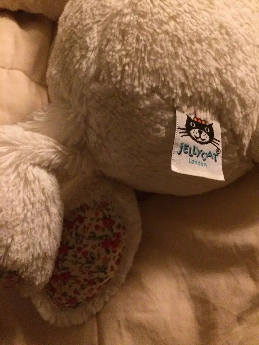 ブラッサム クリーム