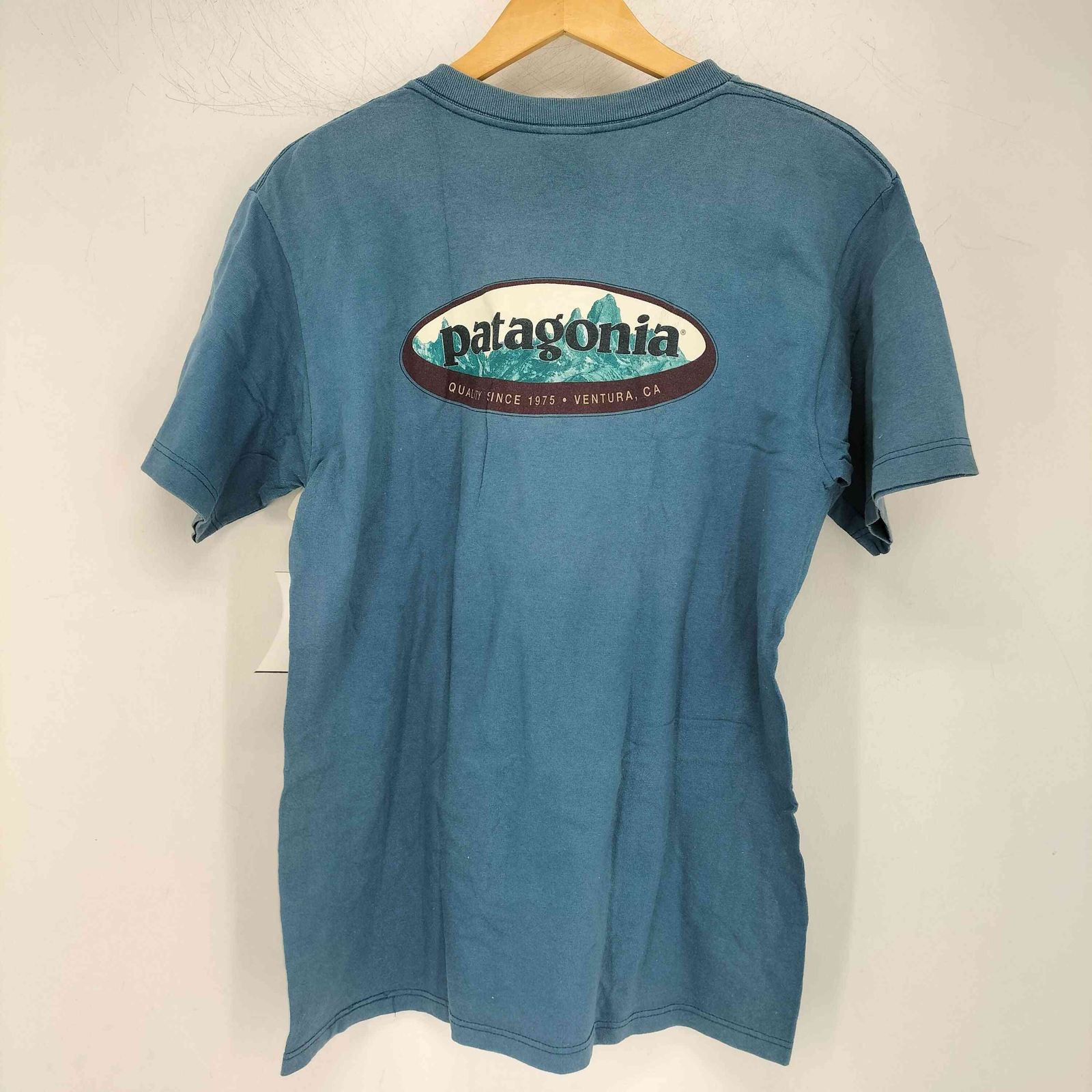 パタゴニア patagonia 90s BENEFICIAL ベネフィシャル オーバルロゴ クルーネックTシャツ メンズ JPN S
