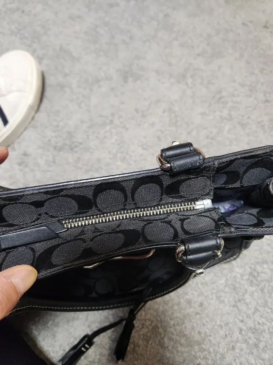 هامپトン ベルト