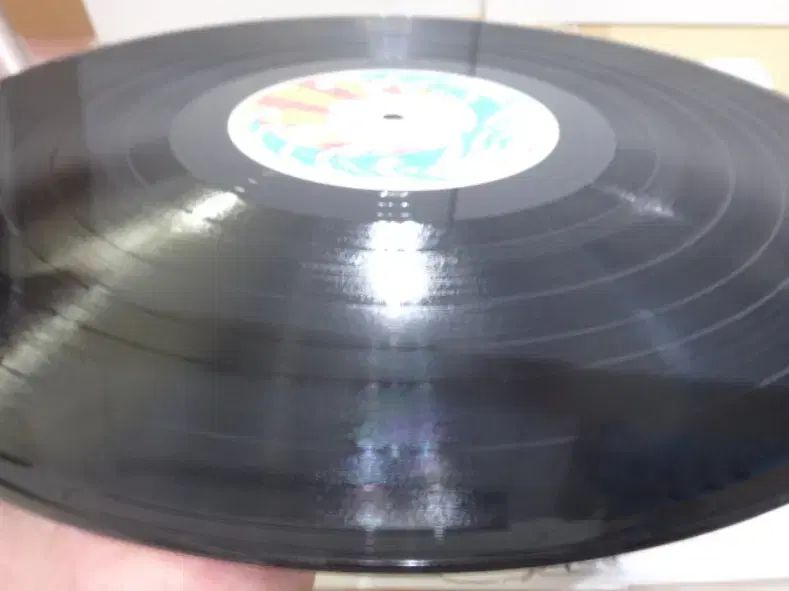 Yamashita ヤマシタ