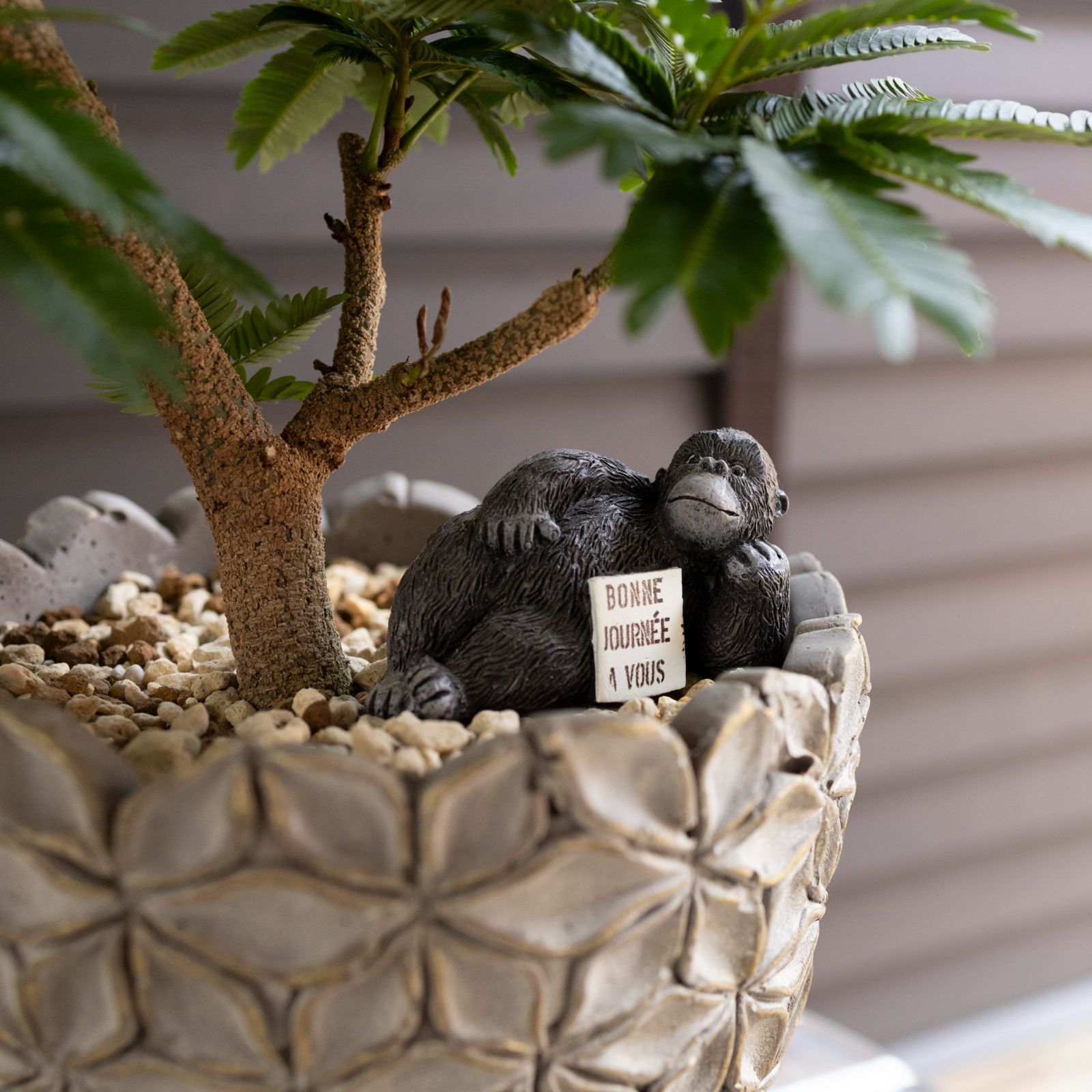 盆栽 エバーフレッシュ 曲がり仕立て 4.5号陶器鉢 Ever fresh BONSAI 観葉植物 1105GG WWW_GEBZETESISAT_COM_TR