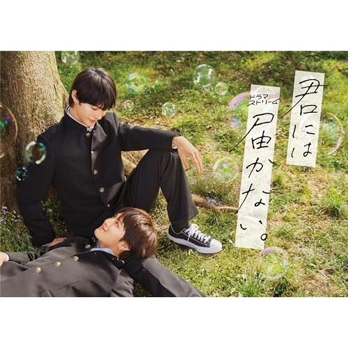 DVD 前田拳太郎 柏木悠 君には届かない DVD-BOX TCED-7254