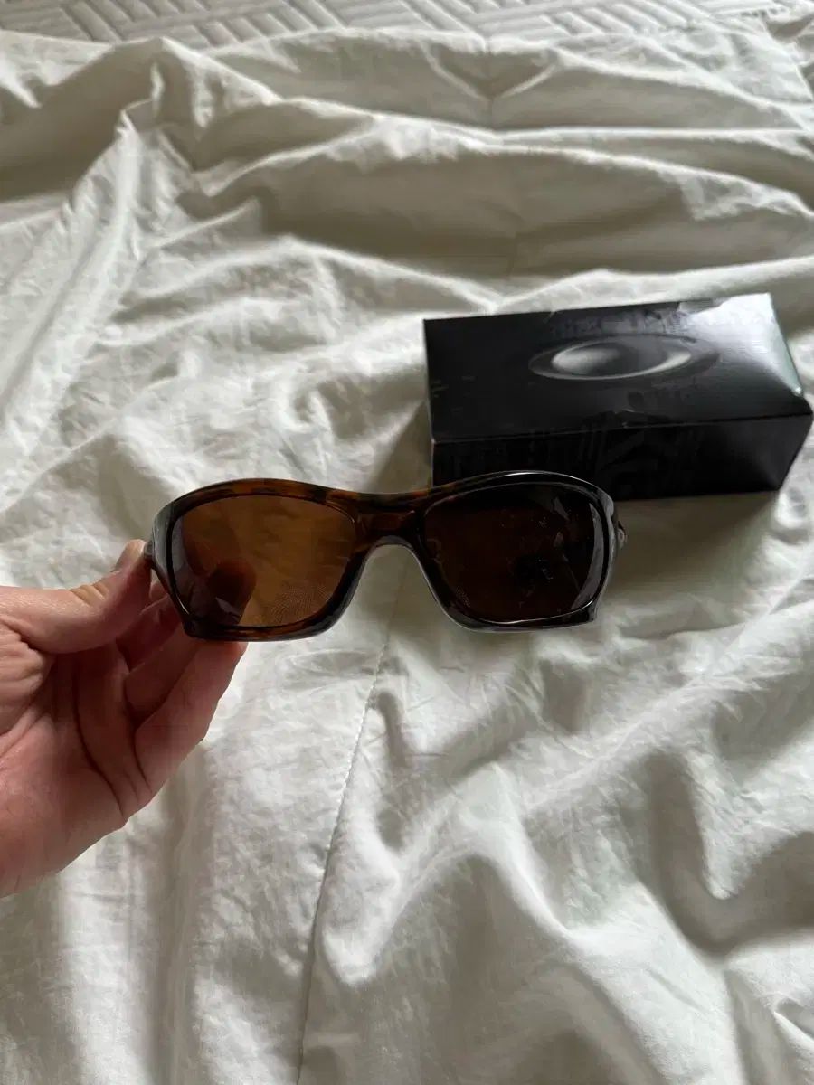 フィットブル ルートビア