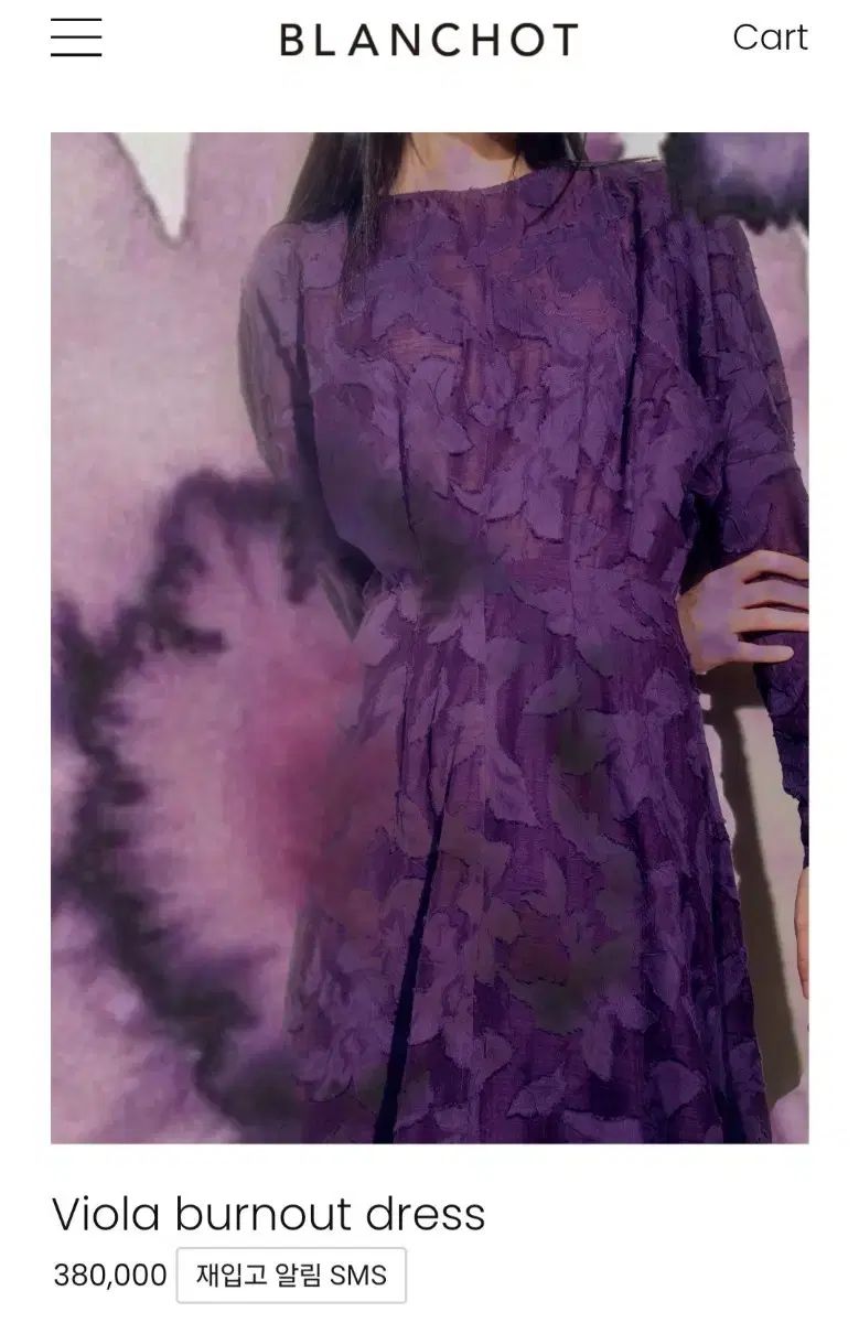 ブランショ ビオラ バーンアウト ドレス ONE PIECE s