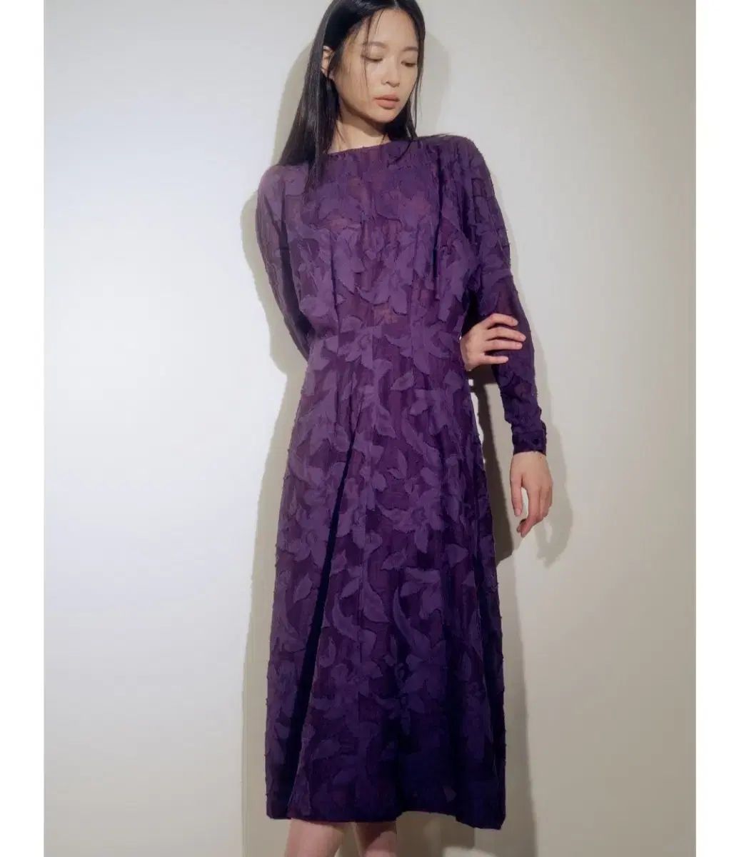 ブランショ ビオラ