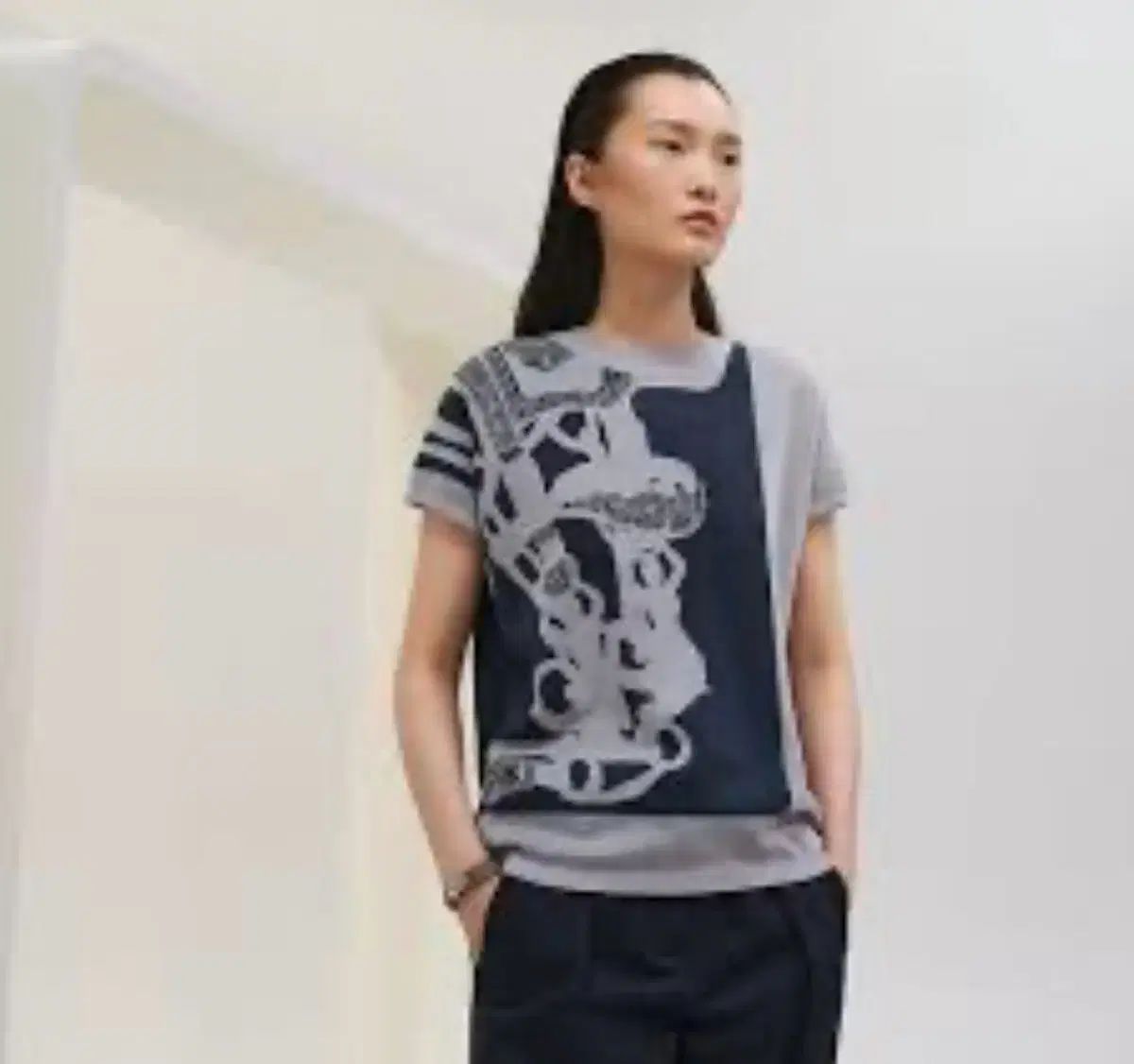 エルメス プリント 半袖 Tシャツ ピンク 36 - メルカリ