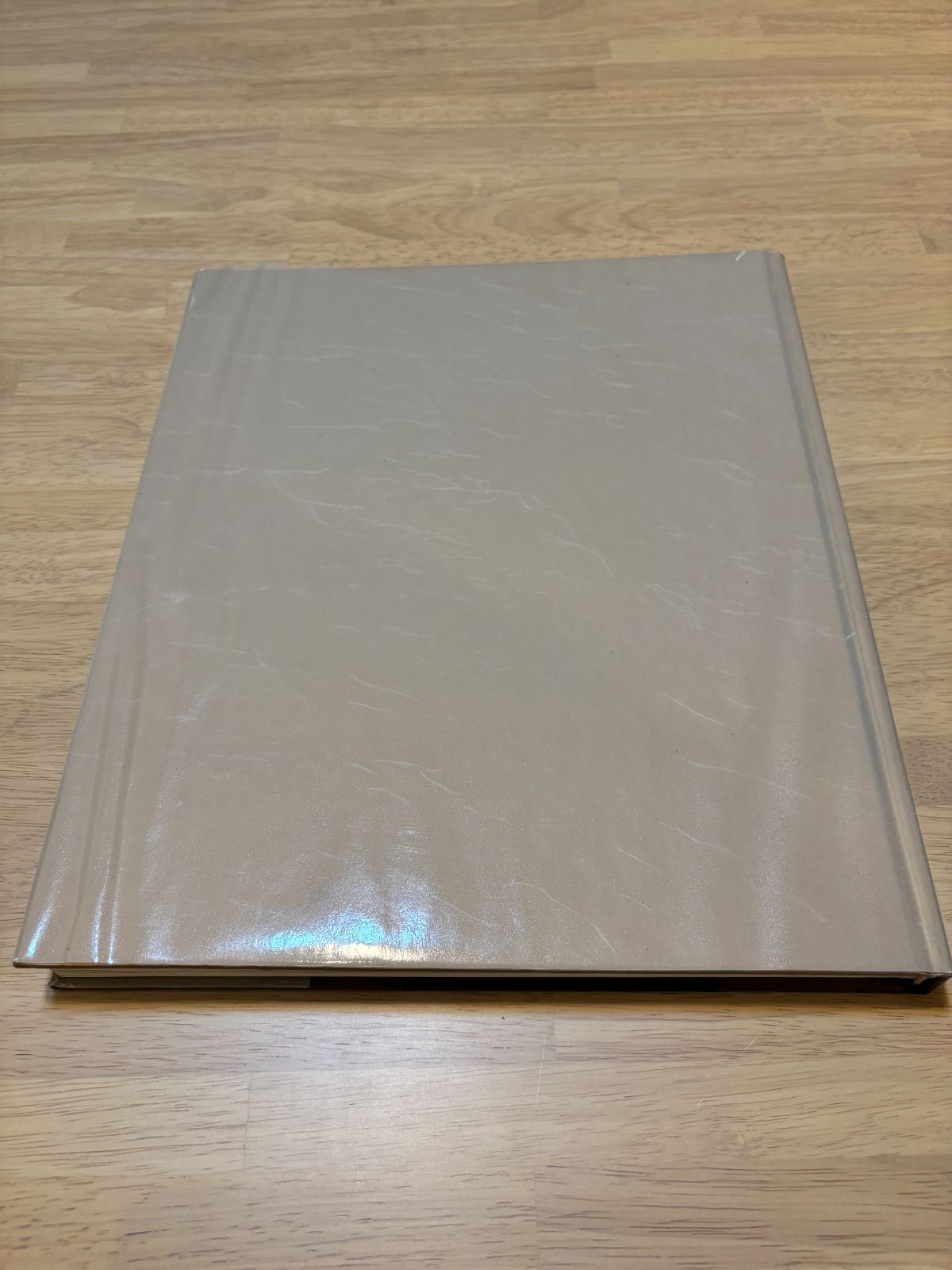 ANNIE 1970-1990 アニーリーボヴィッツ 写真集 H 0137